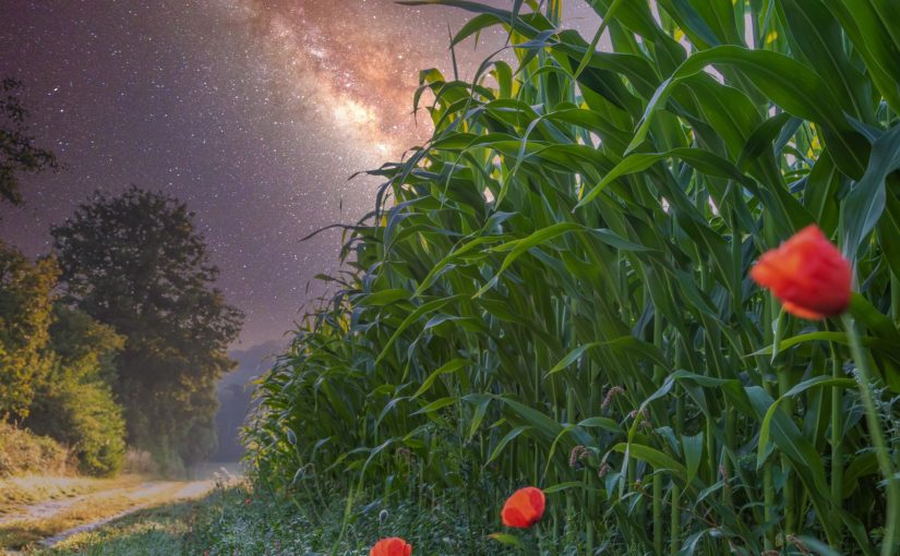 La tua strada, verso le stelle