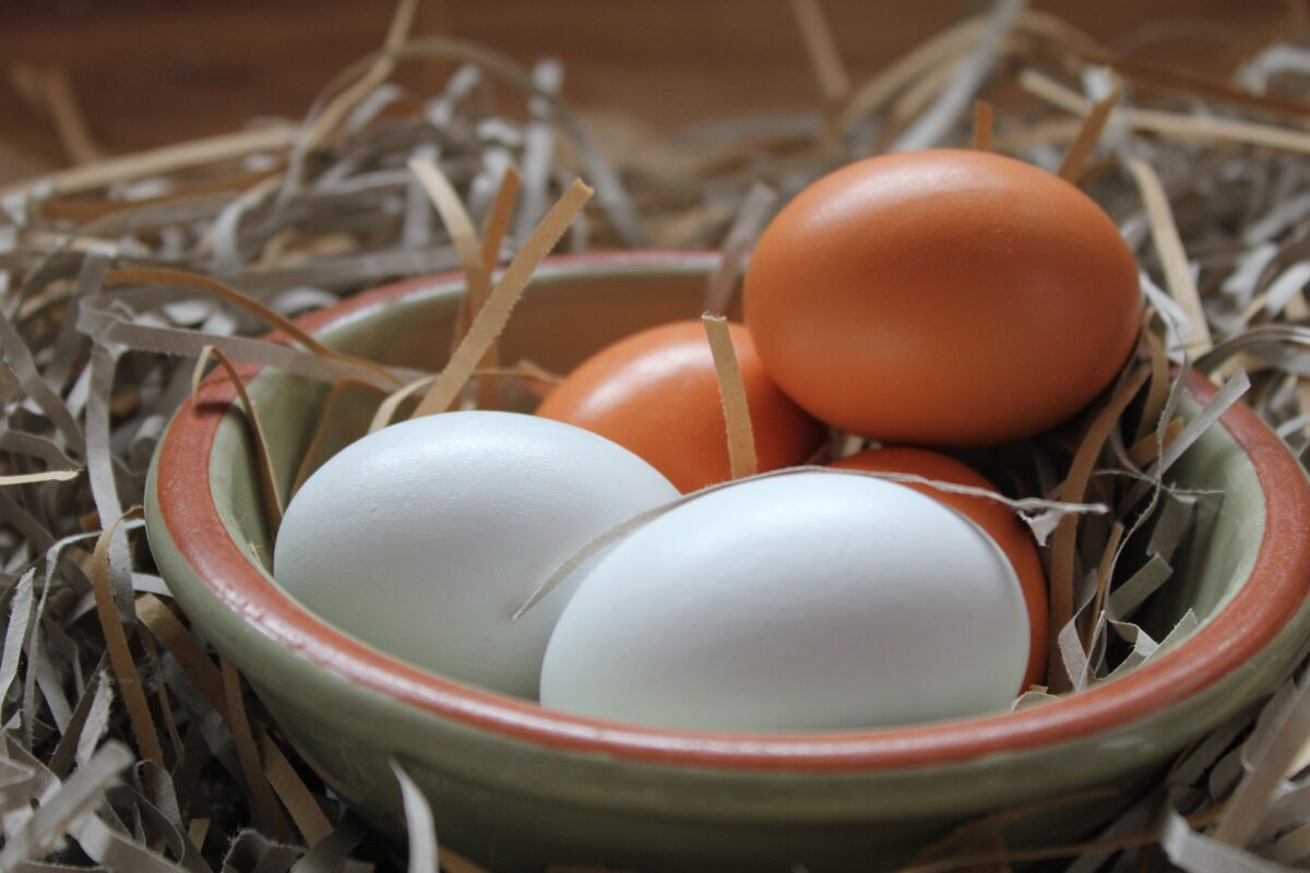 Meglio un uovo oggi che una gallina domani